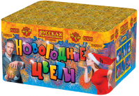 Новогодние цветы Фейерверк купить в Гвардейске | gvardejsk.salutsklad.ru