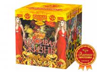 Красивая жизнь Фейерверк купить в Гвардейске | gvardejsk.salutsklad.ru