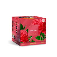 Пионы Салют купить в Гвардейске | gvardejsk.salutsklad.ru