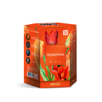 Тюльпаны Салют купить в Гвардейске | gvardejsk.salutsklad.ru