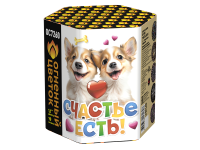 Счастье есть! Салют купить в Гвардейске | gvardejsk.salutsklad.ru