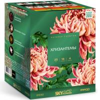 Хризантемы Фейерверк купить в Гвардейске | gvardejsk.salutsklad.ru