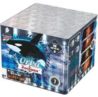 Косатка Фейерверк купить в Гвардейске | gvardejsk.salutsklad.ru