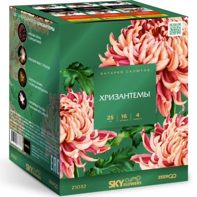Хризантемы Фейерверк купить в Гвардейске | gvardejsk.salutsklad.ru