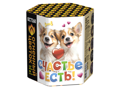 Счастье есть! Салют купить в Гвардейске | gvardejsk.salutsklad.ru