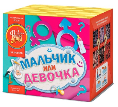 Мальчик или девочка М Фейерверк купить в Гвардейске | gvardejsk.salutsklad.ru